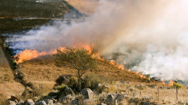 hasiči grass-fire-807388 1280